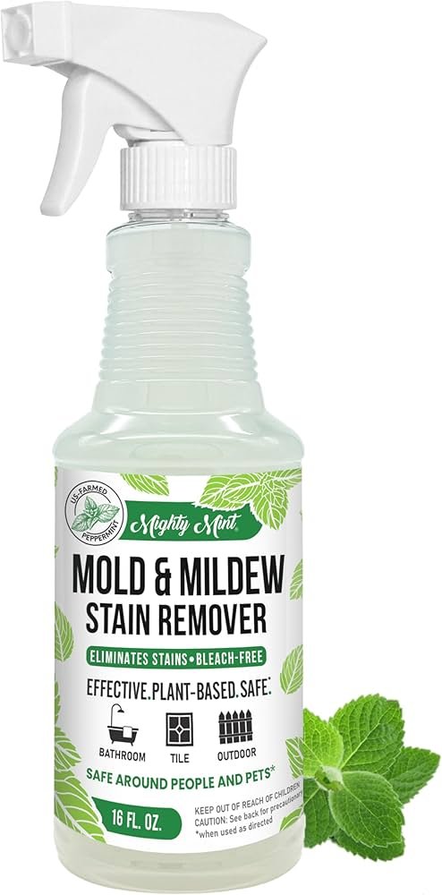 How to Prevent Mold in Bathroom Naturally: Easy Home Solutions