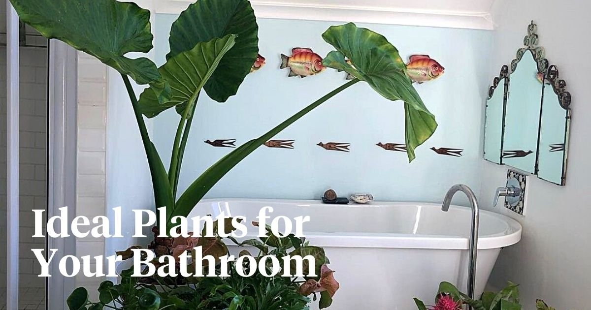 Best Indoor Plants for Bathroom Humidity: Top Choices for Fresh Air