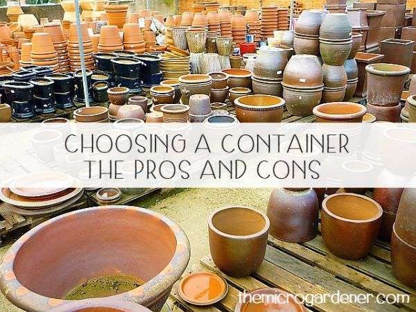 Concrete Planter Pros And Cons: Key Benefits and Drawbacks Explained