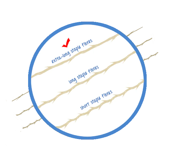 How to Prevent Pilling on Bedsheets: Expert Tips for Smooth Sheets