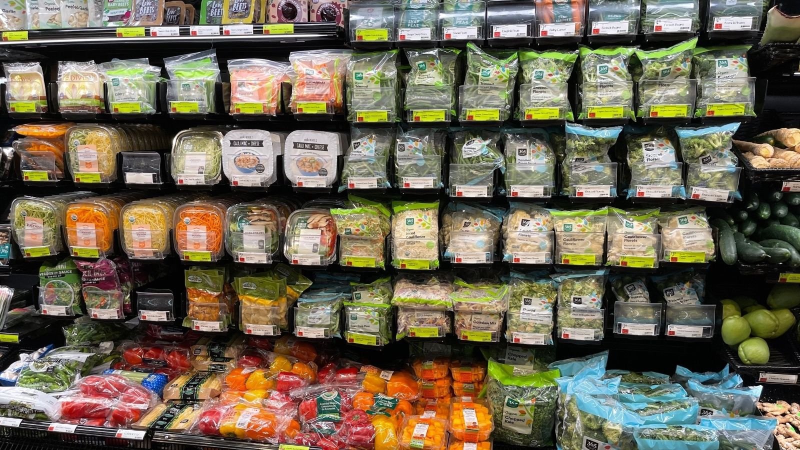How to Reduce Plastic Use in Food Storage: Simple Eco Tips