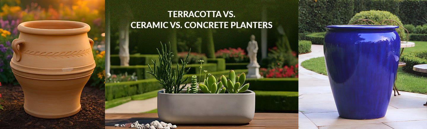 Terra Cotta Vs Glazed Planter Comparison: Which Is Best for You?