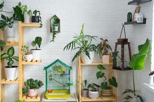 How to Group Indoor Plants for Display: Stunning Arrangement Tips