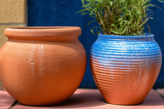 Terra Cotta Vs Glazed Planter Comparison: Which Is Best for You?