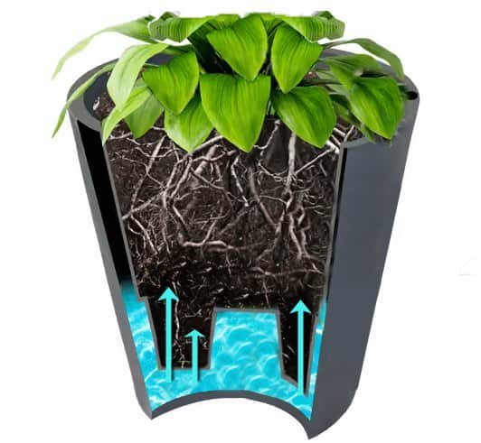Concrete Planter Pros And Cons: Key Benefits and Drawbacks Explained